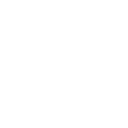 Empty Slot